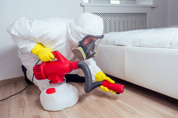 Best Affordable Pest Control Services  in Windsor, NC